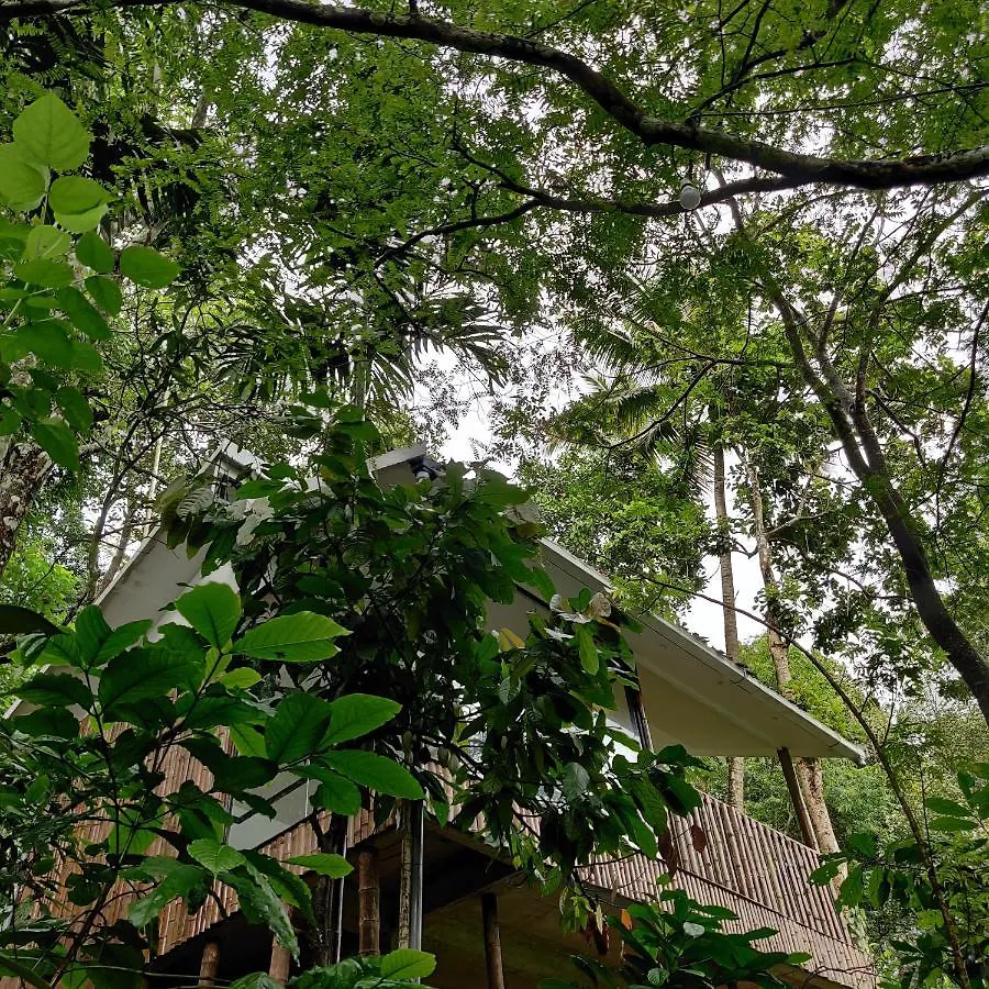 Illi Villa Cottage, M3 Homes Farmhouse Munnar 0*,